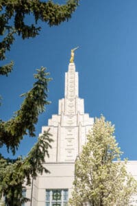 Idaho Falls Temple steeple against clear blue sky, framed by pine tree branches and blossoms.