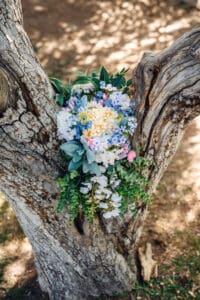 Colorful spring bouquet resting in y shape of tree in Idaho Falls.
