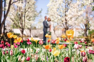 Colorful spring flowers with blurred background of blossoms trees and wedding couple smiling at camera at Idaho Falls Temple.