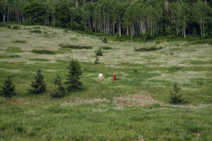 Man and woman in red dress rung towards each other on hill with tall grass and aspens in back, captured by Utah engagement photographer.