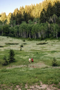 Man and woman in red dress hold hands as they run down hill, with aspen trees in the background, captured by Utah engagement photographer.